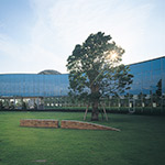 アリア・ディ・フィレンツェ 石友本社屋